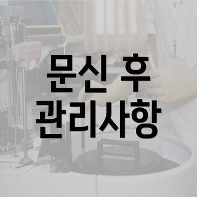 문신 후 관리사항