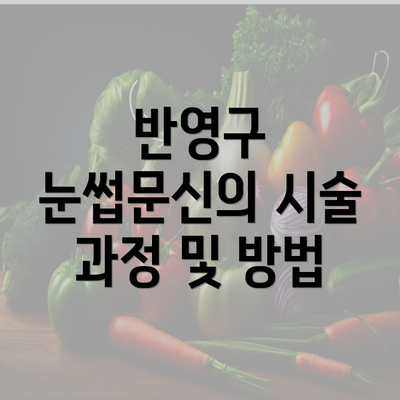 반영구 눈썹문신의 시술 과정 및 방법