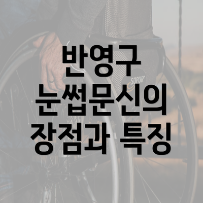 반영구 눈썹문신의 장점과 특징