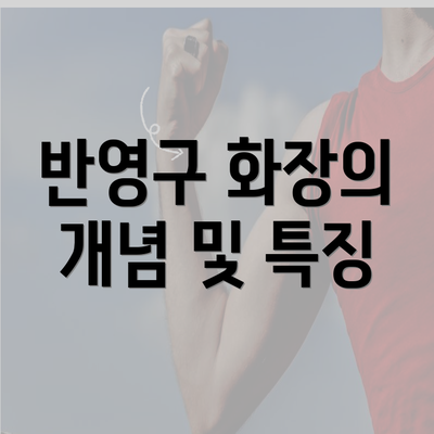 반영구 화장의 개념 및 특징