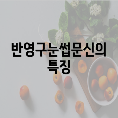 반영구눈썹문신의 특징