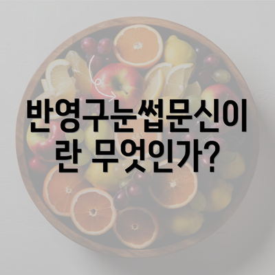 반영구눈썹문신이란 무엇인가?