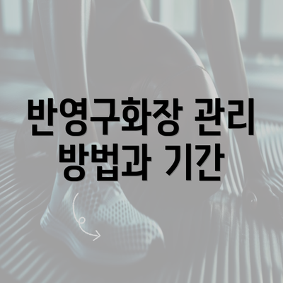 반영구화장 관리 방법과 기간