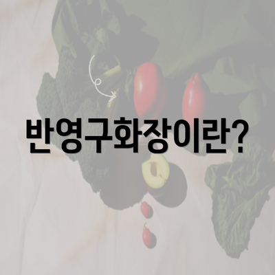 반영구화장이란?