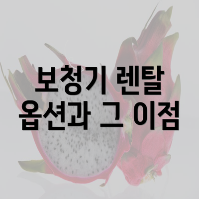 보청기 렌탈 옵션과 그 이점