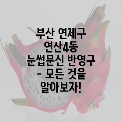 부산 연제구 연산4동 눈썹문신 반영구 - 모든 것을 알아보자!