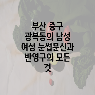 부산 중구 광복동의 남성 여성 눈썹문신과 반영구의 모든 것