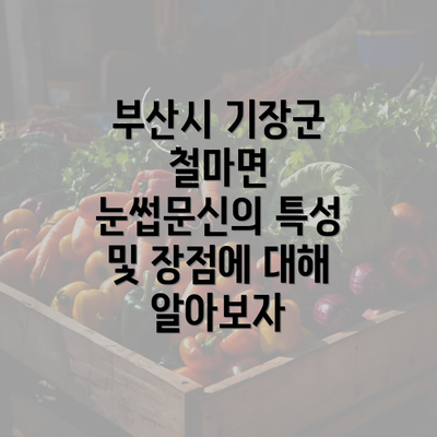 부산시 기장군 철마면 눈썹문신의 특성 및 장점에 대해 알아보자