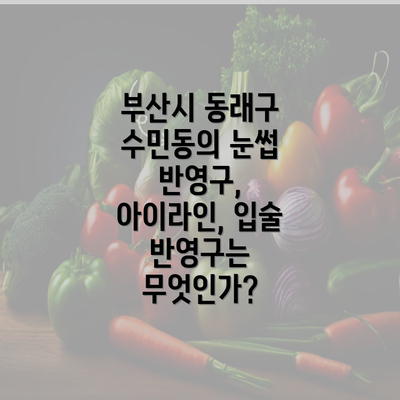 부산시 동래구 수민동의 눈썹 반영구, 아이라인, 입술 반영구는 무엇인가?