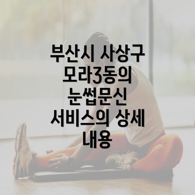 부산시 사상구 모라3동의 눈썹문신 서비스의 상세 내용