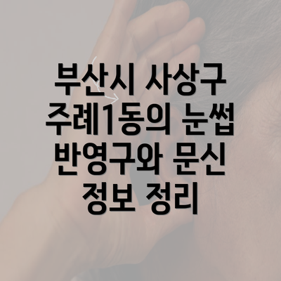 부산시 사상구 주례1동의 눈썹 반영구와 문신 정보 정리