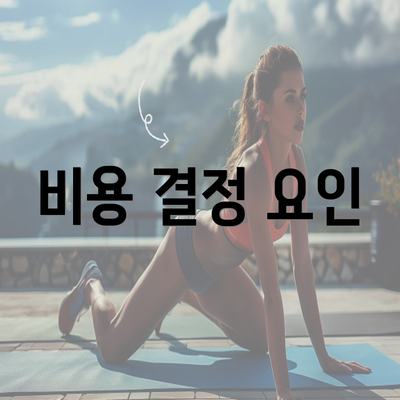 비용 결정 요인