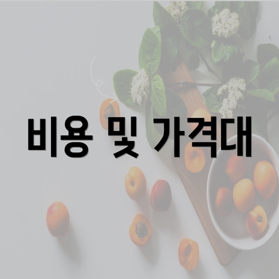 비용 및 가격대