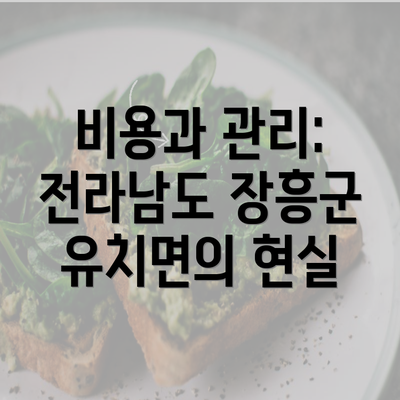 비용과 관리: 전라남도 장흥군 유치면의 현실