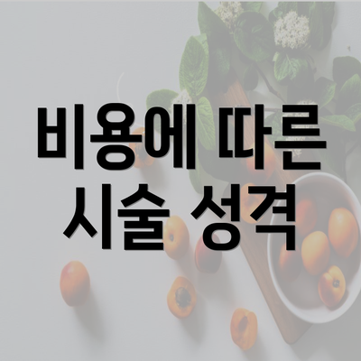 비용에 따른 시술 성격