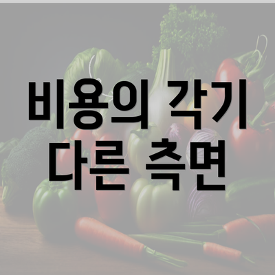 비용의 각기 다른 측면