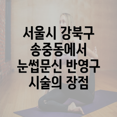 서울시 강북구 송중동에서 눈썹문신 반영구 시술의 장점