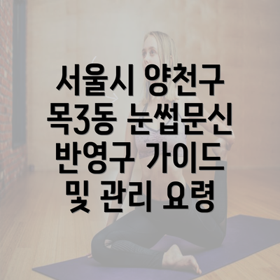 서울시 양천구 목3동 눈썹문신 반영구 가이드 및 관리 요령