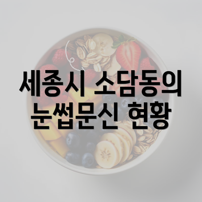 세종시 소담동의 눈썹문신 현황