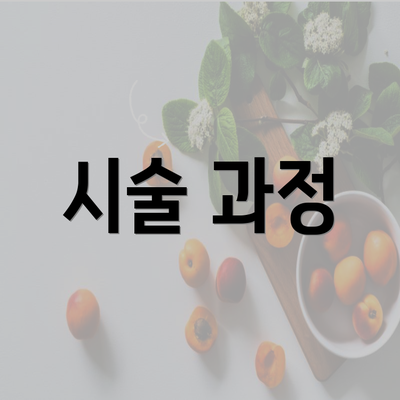 시술 과정