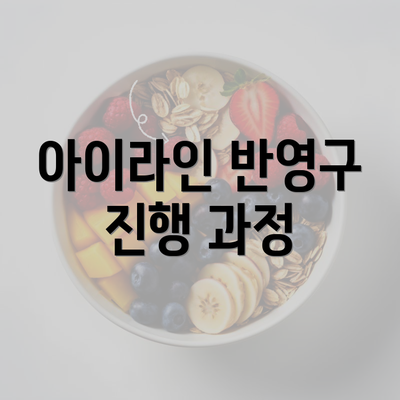 아이라인 반영구 진행 과정