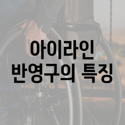 아이라인 반영구의 특징