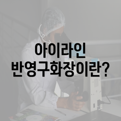 아이라인 반영구화장이란?