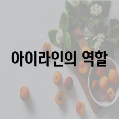 아이라인의 역할