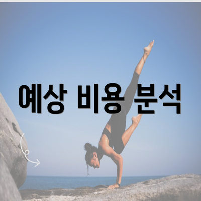 예상 비용 분석