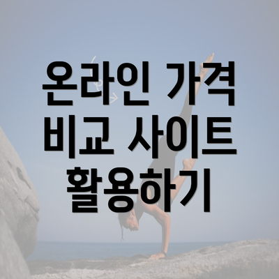 온라인 가격 비교 사이트 활용하기