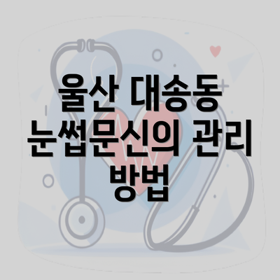 울산 대송동 눈썹문신의 관리 방법