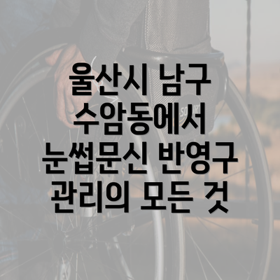 울산시 남구 수암동에서 눈썹문신 반영구 관리의 모든 것