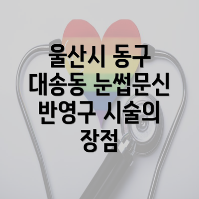 울산시 동구 대송동 눈썹문신 반영구 시술의 장점