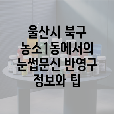 울산시 북구 농소1동에서의 눈썹문신 반영구 정보와 팁