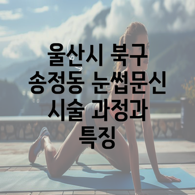 울산시 북구 송정동 눈썹문신 시술 과정과 특징