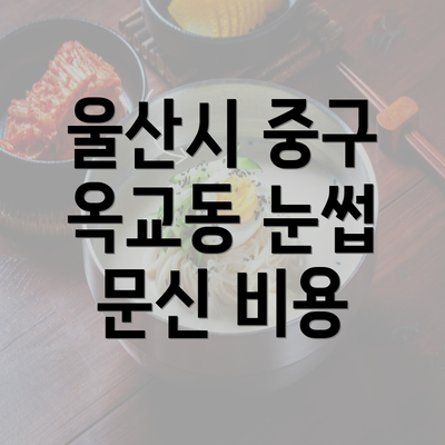 울산시 중구 옥교동 눈썹 문신 비용