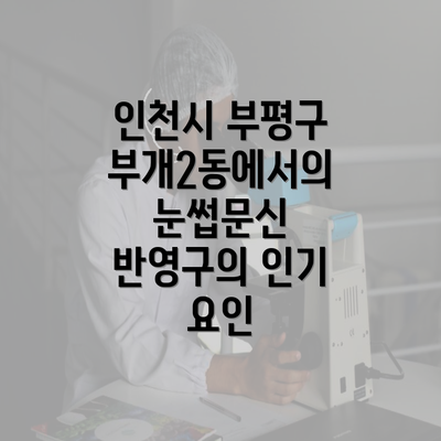 인천시 부평구 부개2동에서의 눈썹문신 반영구의 인기 요인