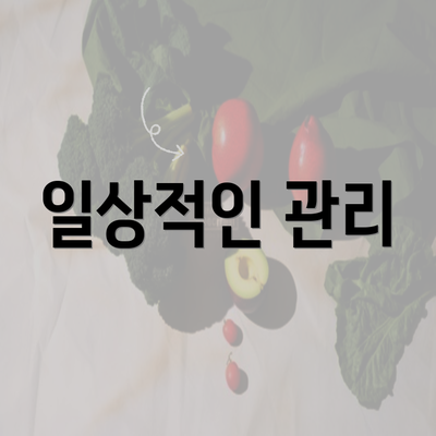 일상적인 관리