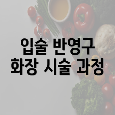 입술 반영구 화장 시술 과정