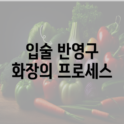 입술 반영구 화장의 프로세스