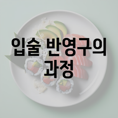 입술 반영구의 과정