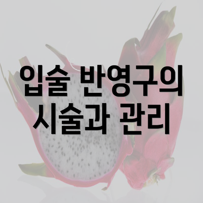 입술 반영구의 시술과 관리