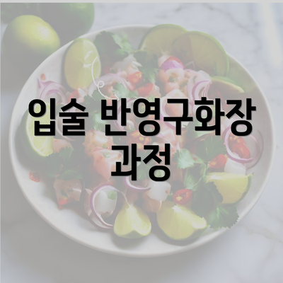 입술 반영구화장 과정