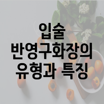 입술 반영구화장의 유형과 특징