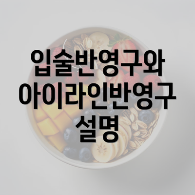 입술반영구와 아이라인반영구 설명