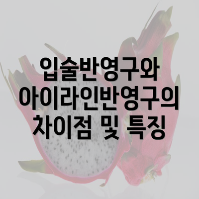 입술반영구와 아이라인반영구의 차이점 및 특징