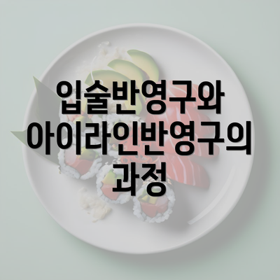 입술반영구와 아이라인반영구의 과정