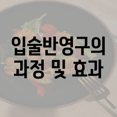 입술반영구의 과정 및 효과