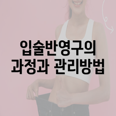 입술반영구의 과정과 관리방법