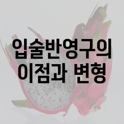 입술반영구의 이점과 변형